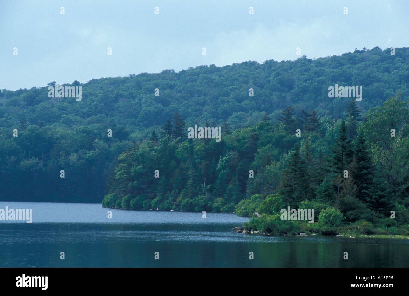 Stratton VT Stratton Pond Appalachian Trail Long Trail Stock Photo Alamy