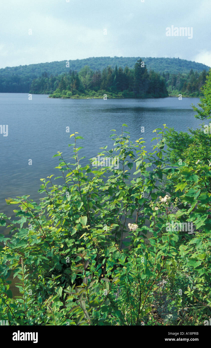 Stratton VT Stratton Pond Appalachian Trail Long Trail Stock Photo Alamy