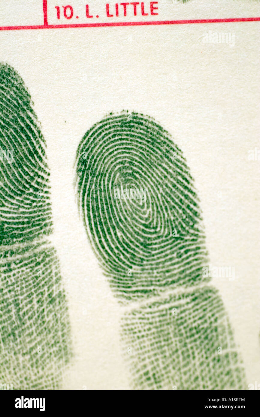 Whorl Finger High Resolution Stock Photography and Images Alamy