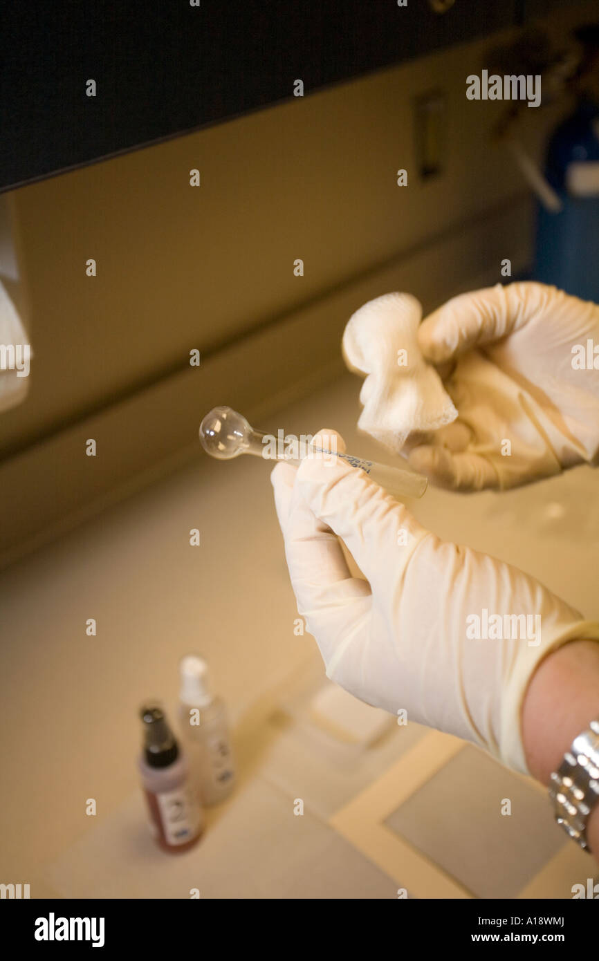 Using Meth Alert to test if a pipe has any residue from meth on it If the test wipe turns blue meth residue is confirmed Stock Photo