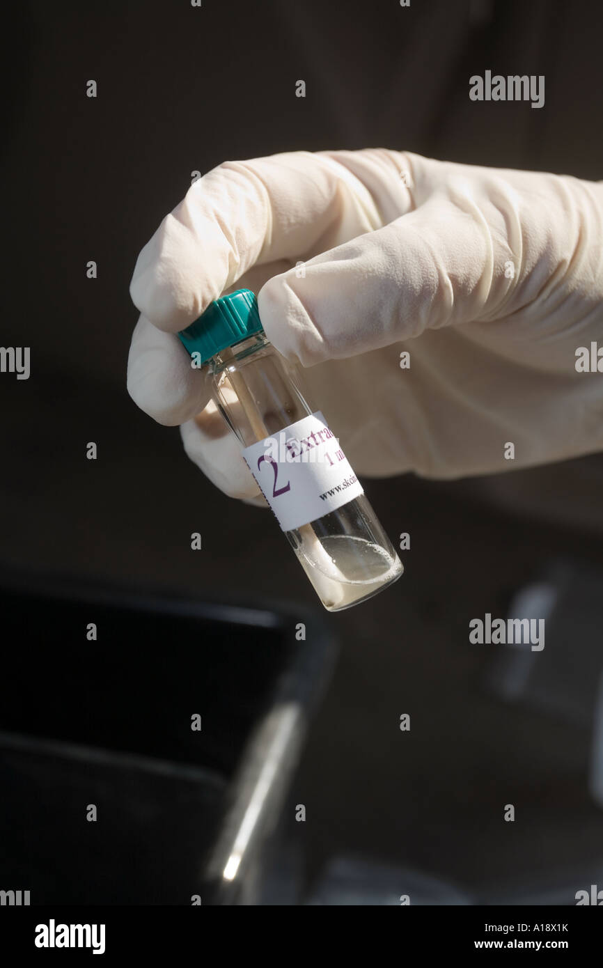 Deputy sheriff using MethCheck to test if a suspicious substance found inside a box in a vehicle is meth Stock Photo