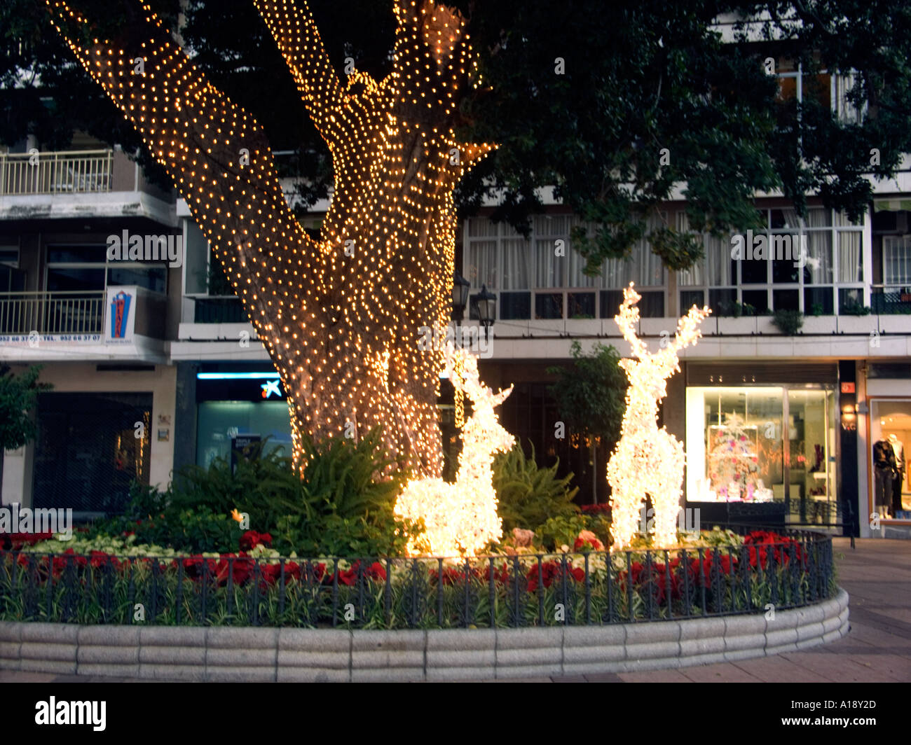 Illuminated wire frame Reindeer, Christmas lights and decorations, Plaza de la Constitucion, Fuengirola, Andalucia, Spain,  Xmas Stock Photo