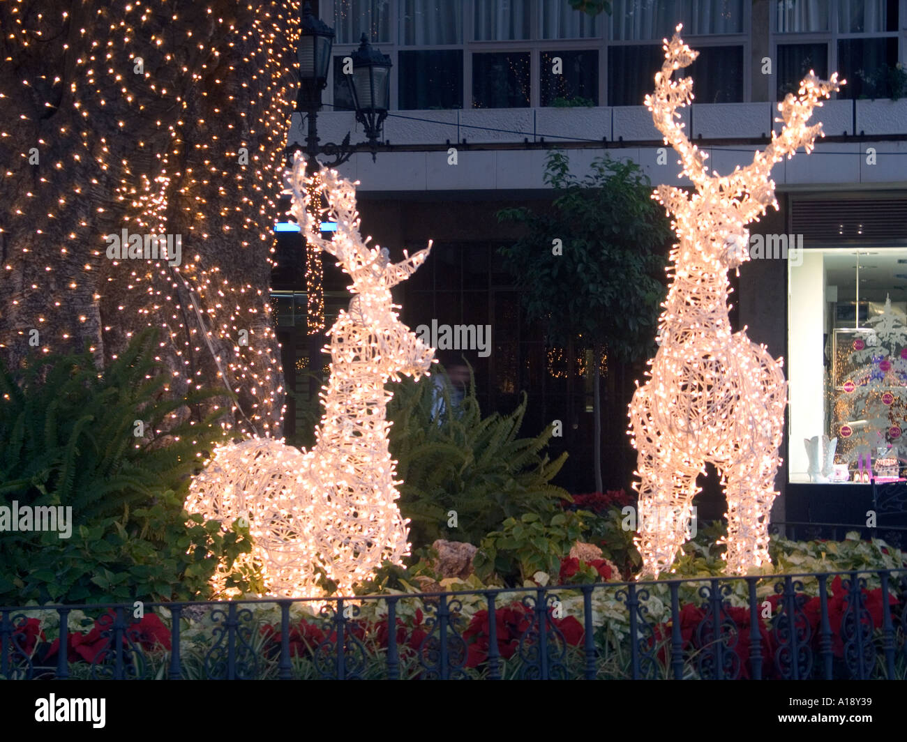 Illuminated Wire Frame Reindeer Christmas Lights Plaza De La