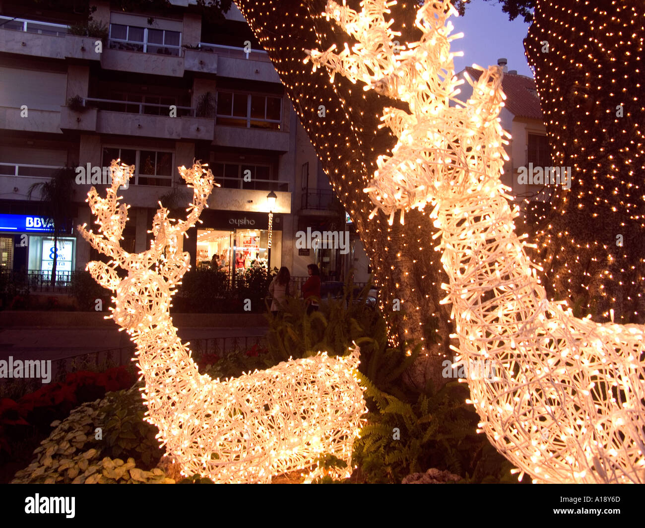 Illuminated wire frame Reindeer Christmas Xmas Yule Yuletide festive season seasonal light lights lighting illuminate SPAIN Stock Photo