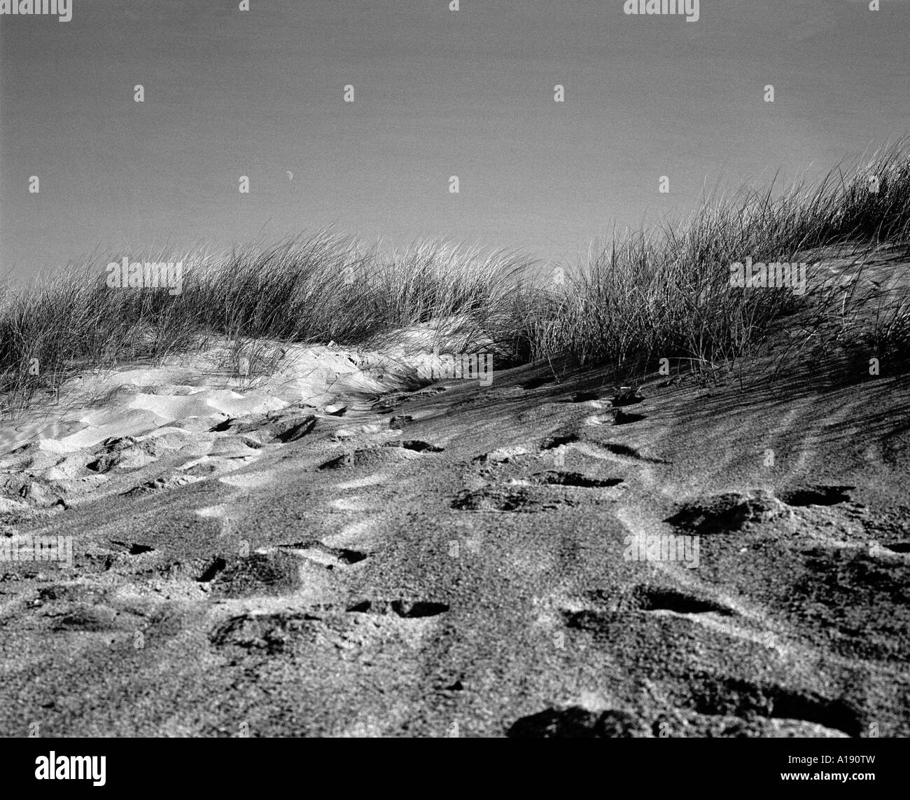 G B England Beach dunes Nr St Austell 2005 Stock Photo
