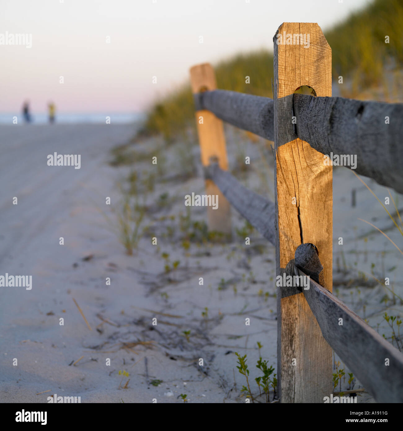 Wooden sea barrier hi-res stock photography and images - Alamy