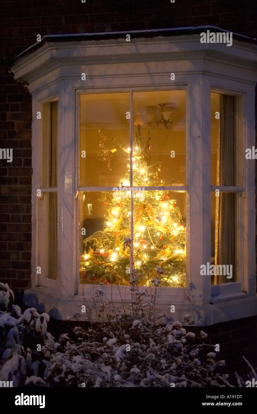 christmas tree in bay window stock photos christmas tree in bay christmas tree in window
