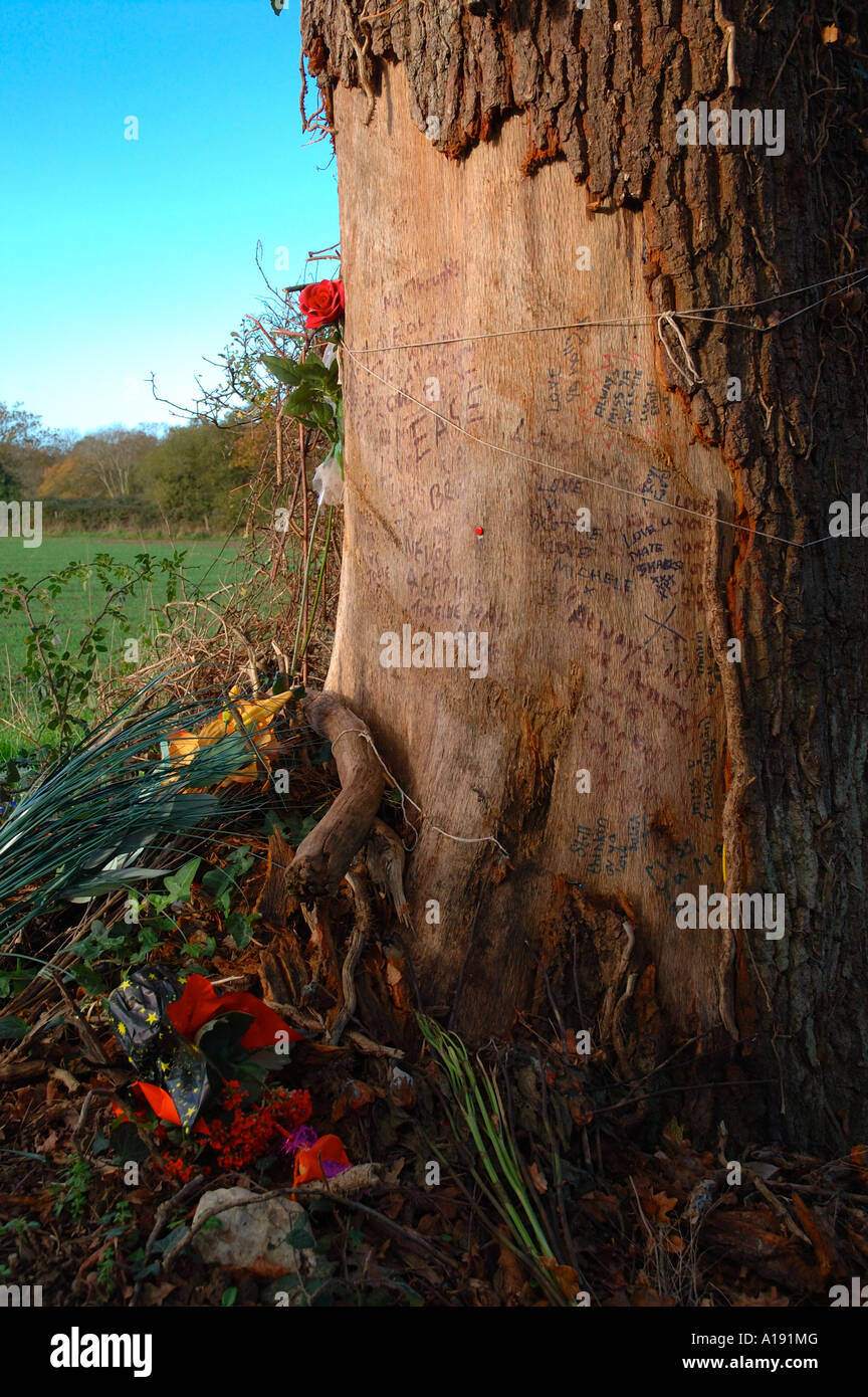 Decorated Tree at Car Crash Site, Marks Corner, Newport, Isle of Wight