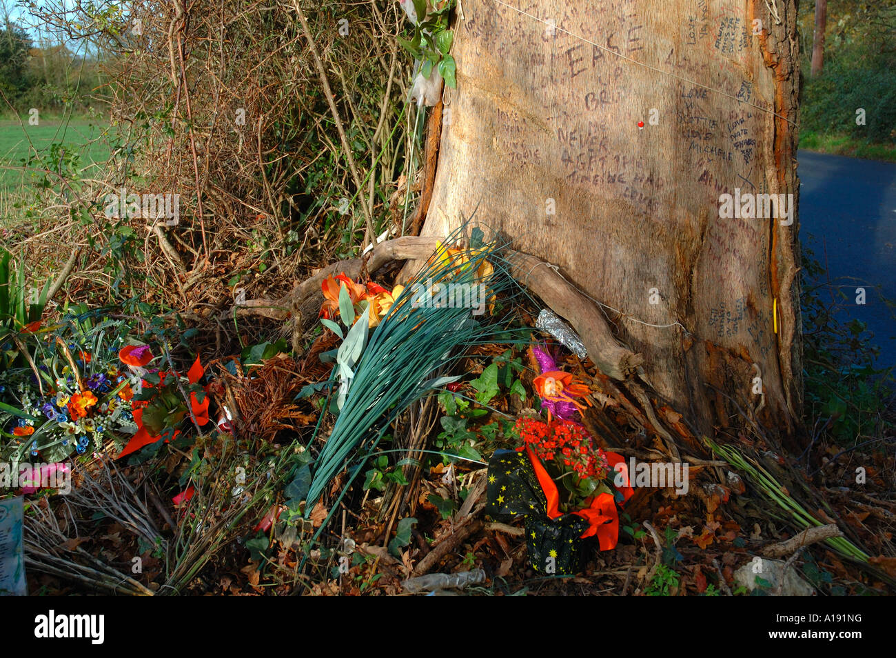 Decorated Tree at Car Crash Site, Marks Corner, Newport, Isle of Wight