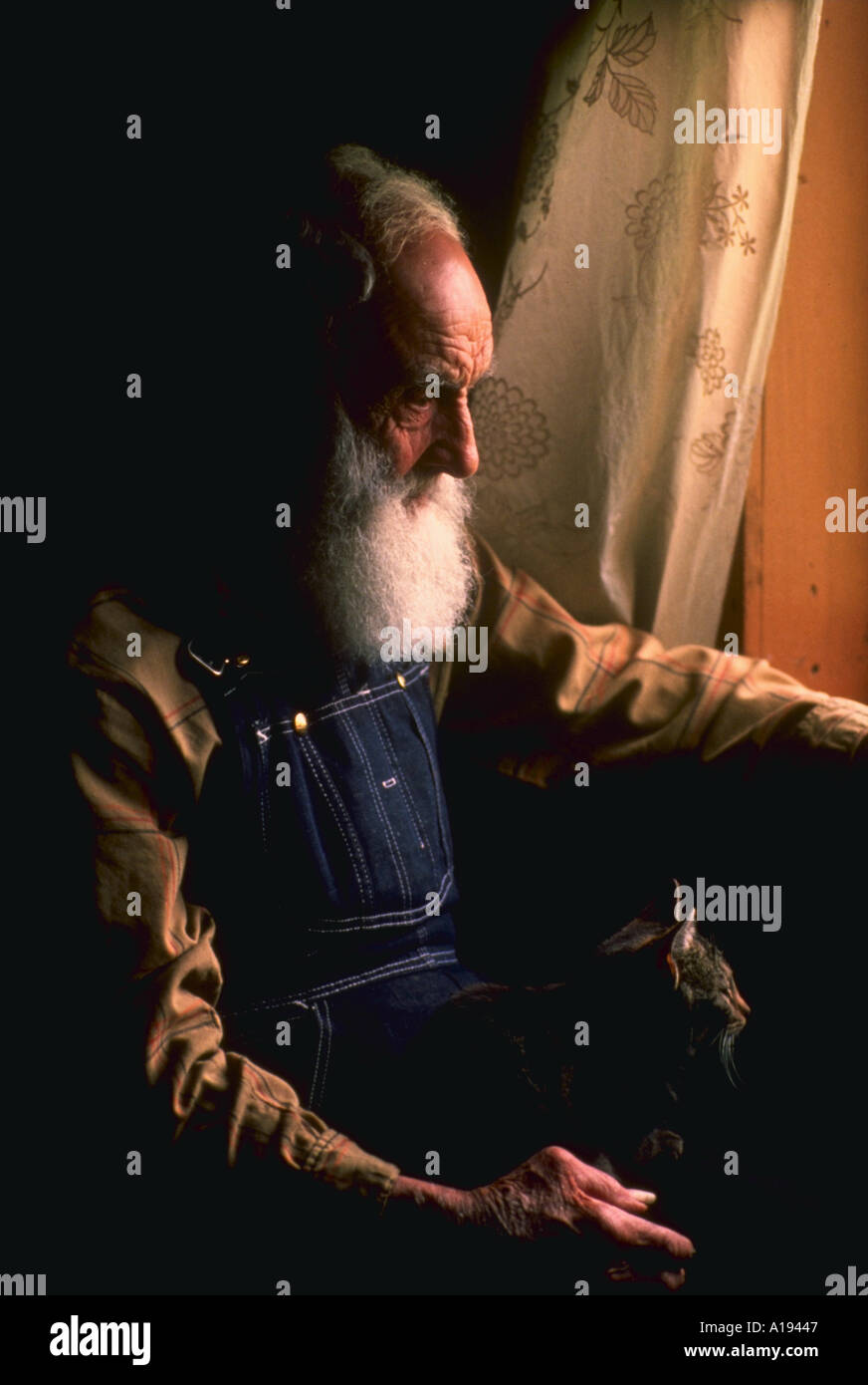 Older man long white beard hi-res stock photography and images - Alamy
