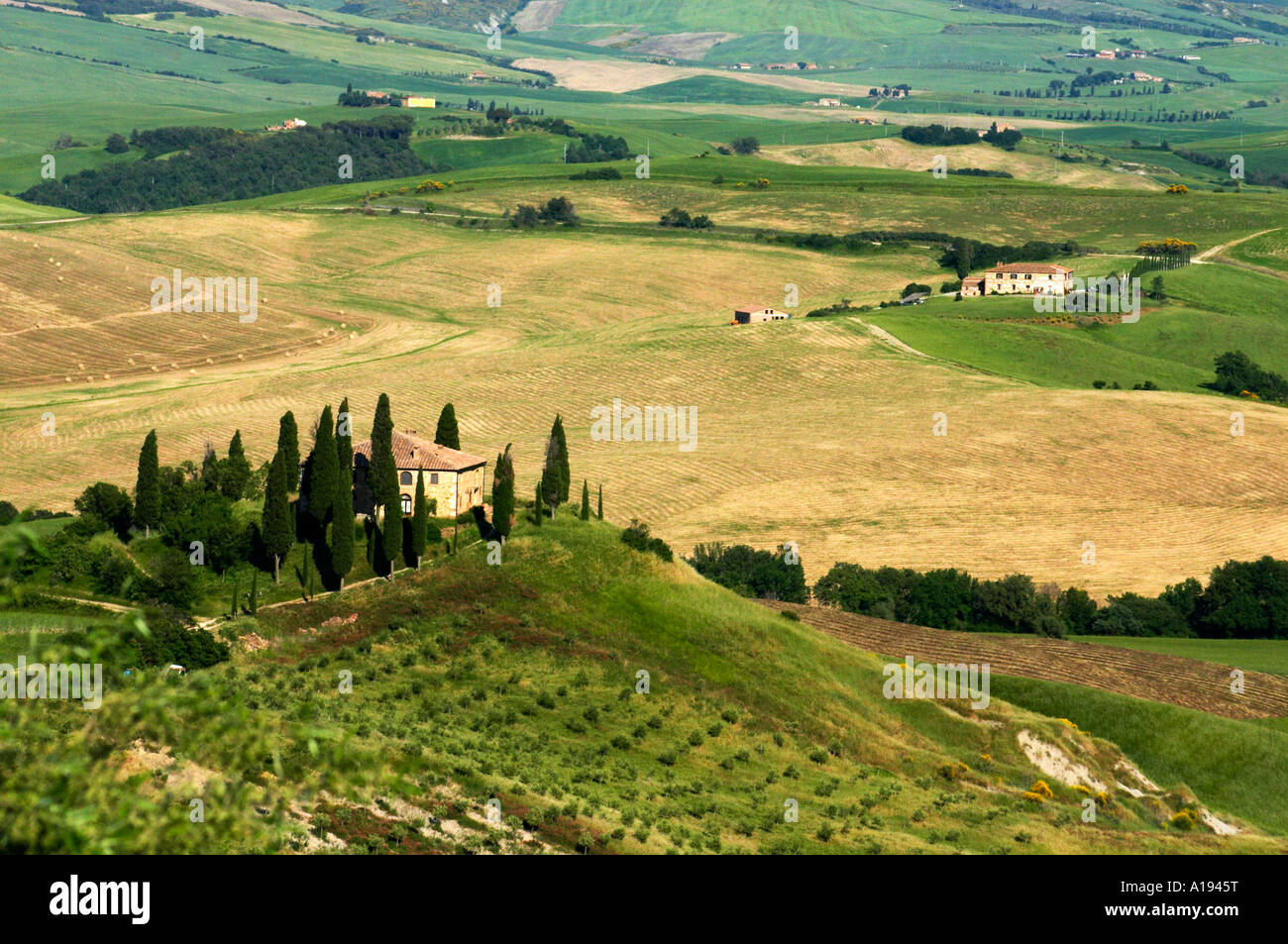 Farmhouse south of Pienza Tuscany Italy Stock Photo - Alamy