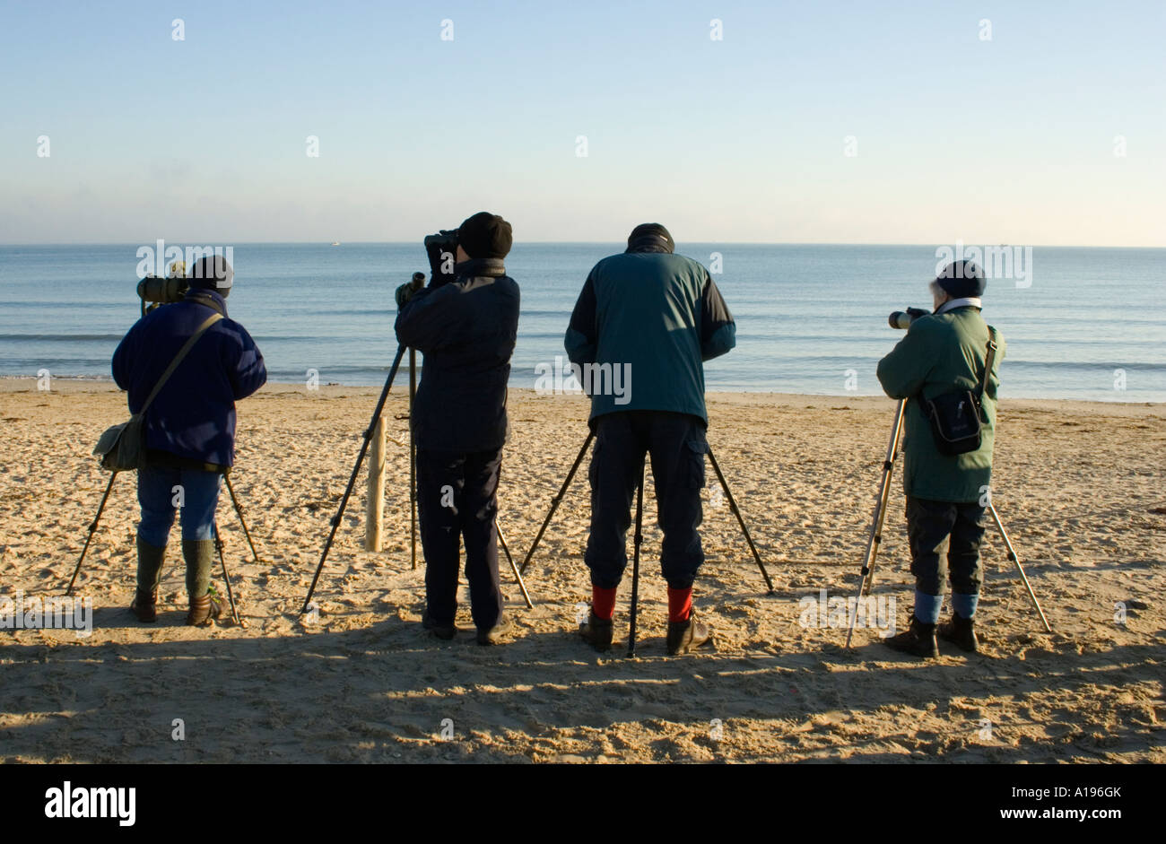 Four Birdwatchers at Studland Beach, Dorset,  UK Stock Photo