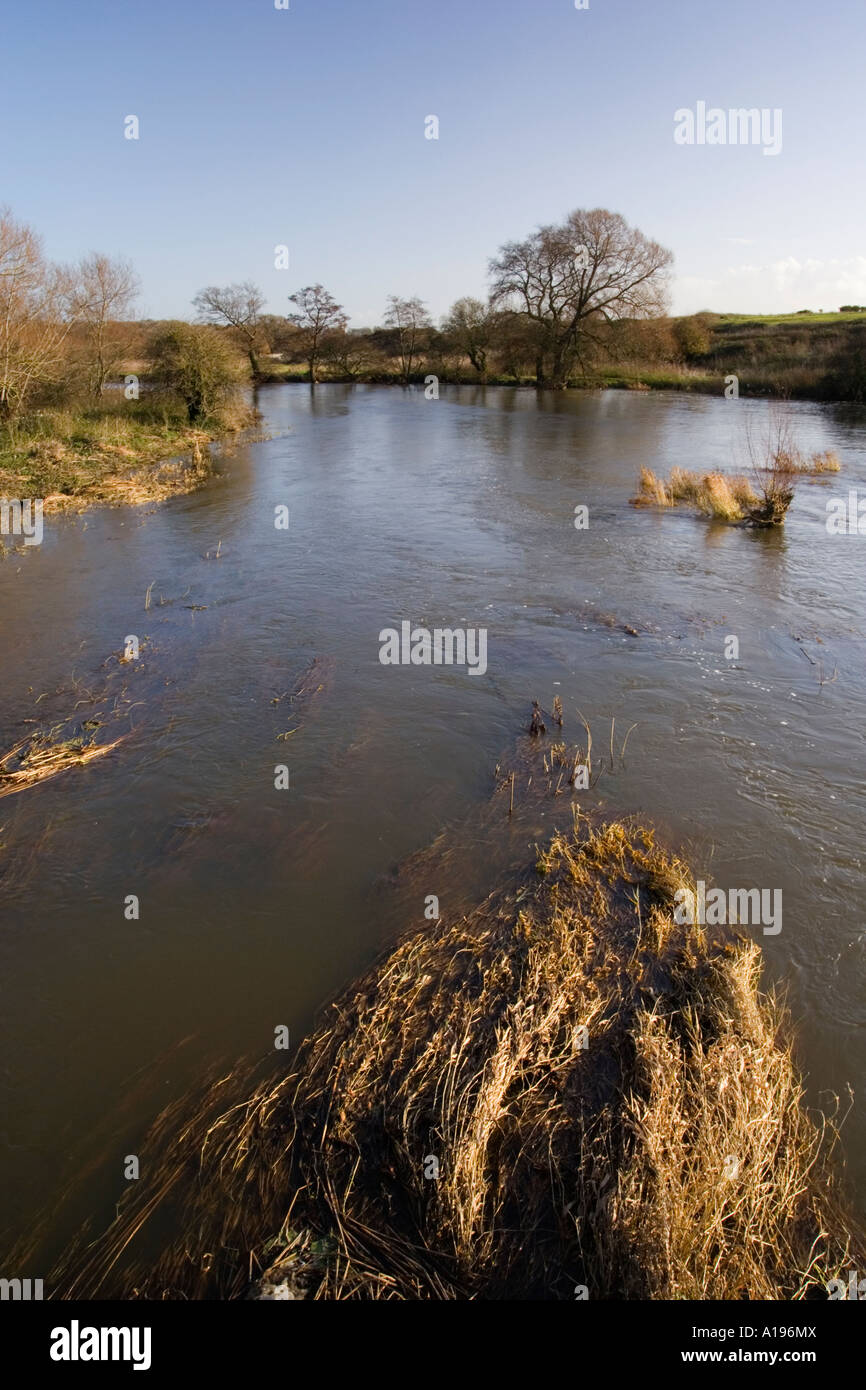 River Stour Lower Reaches near Longham,  Dorset, UK Stock Photo