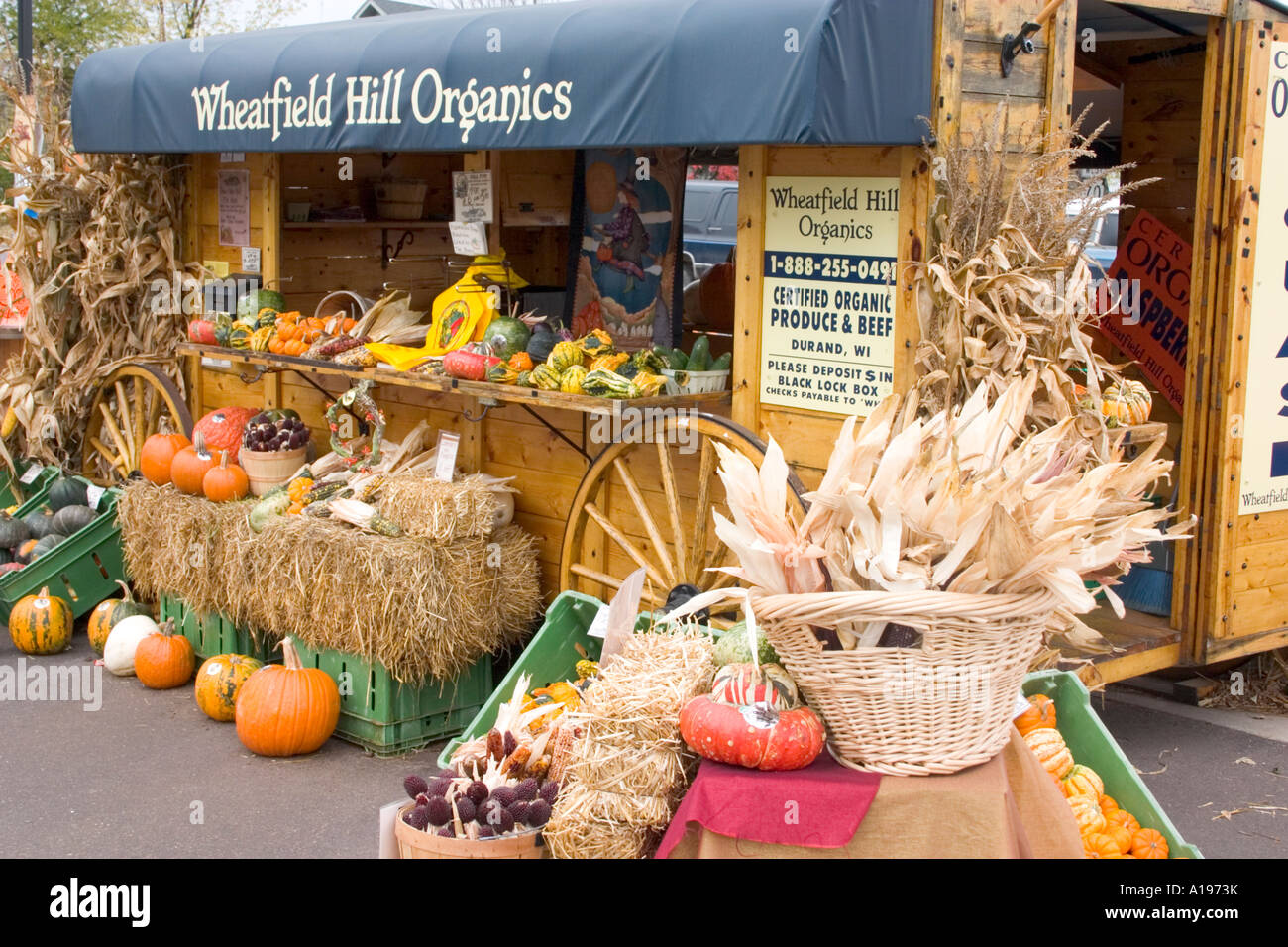 Autumn display of organic vegetables for sale at outdoor shop