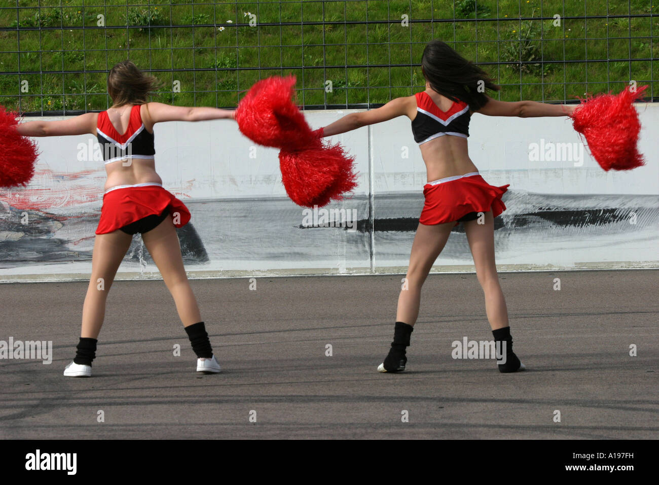 OUKENS Pom Pom Cheerleading, 7 Colori 6 Pezzi Pom Pom Cheerleading Accessorio Danza Per Feste Sport Pompon Cheer(Blu - Foto 4