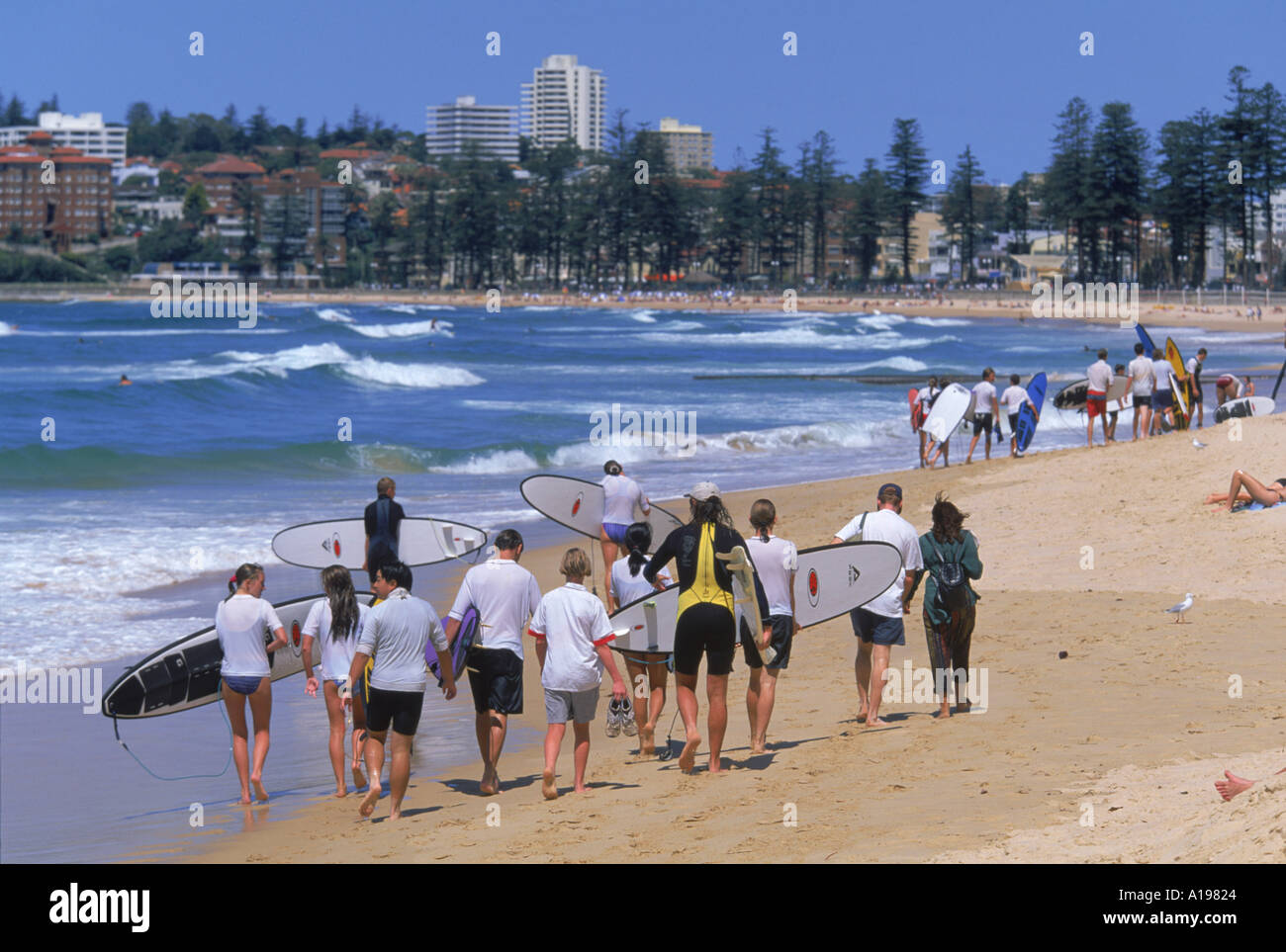 A surf class on Manly beach the northern ocean suburb of Sydney NSW Australia R Francis Stock Photo