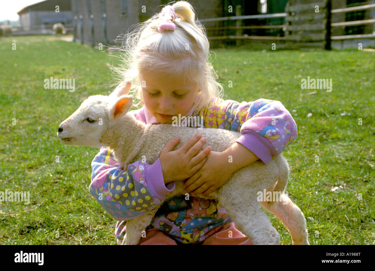 Blond girl with a lamb in her arms Stock Photo - Alamy