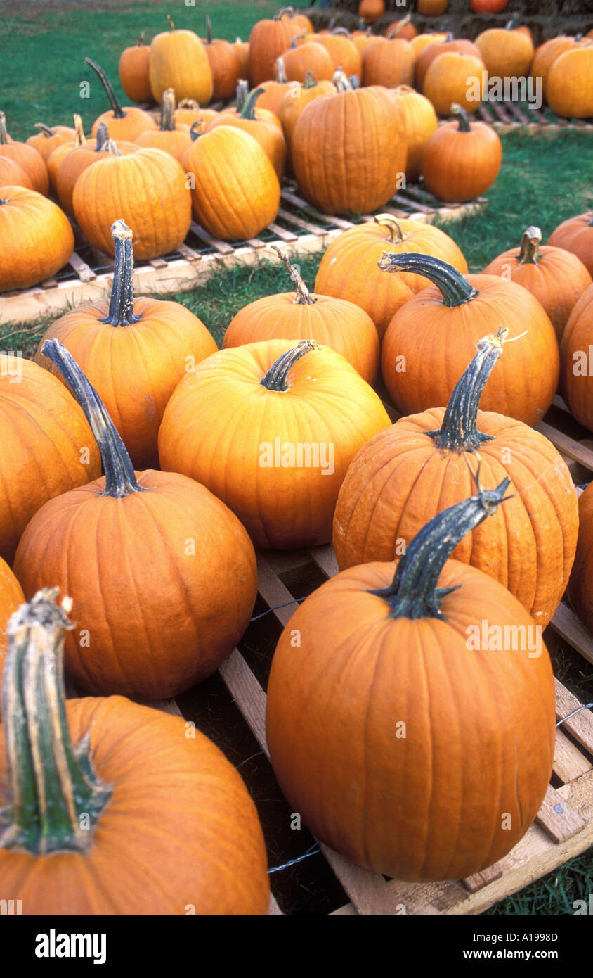 Battenkill hi-res stock photography and images - Alamy