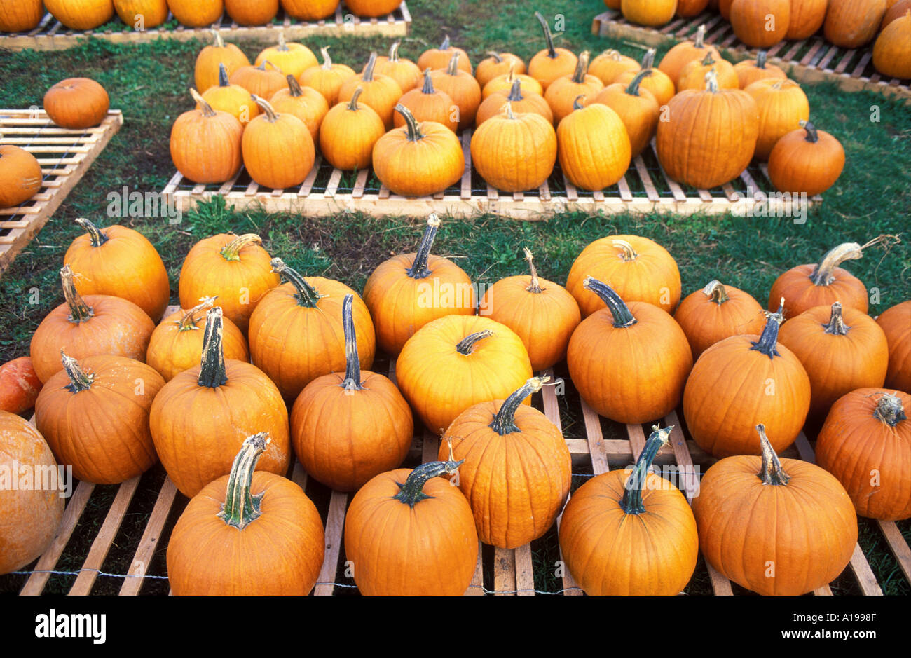 Battenkill hi-res stock photography and images - Alamy