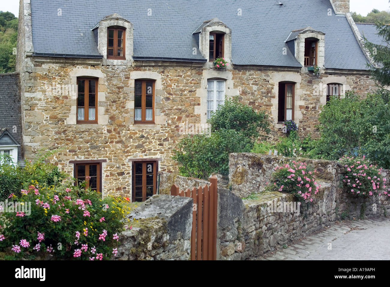 House with flowered wall, Léhon, Brittany, France Stock Photo Alamy
