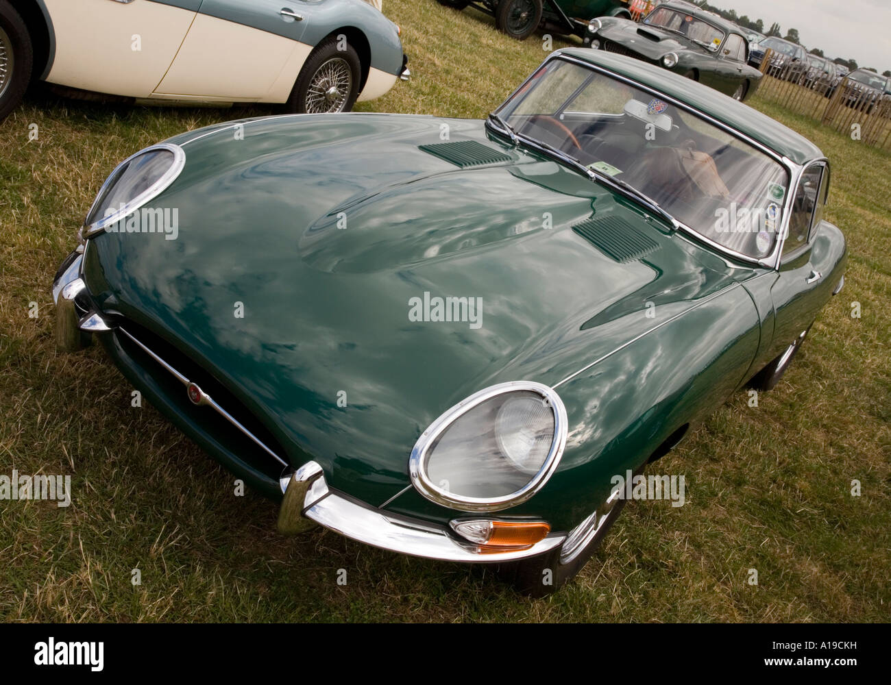 Jaguar E-Type in British racing green. Stock Photo