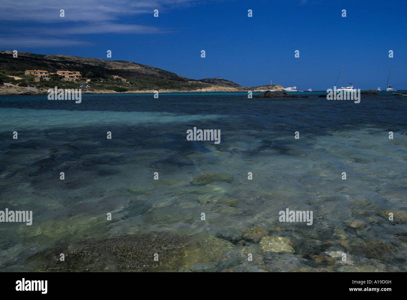 Plage De Lalga Calvi Corsica Stock Photo 10187152 Alamy