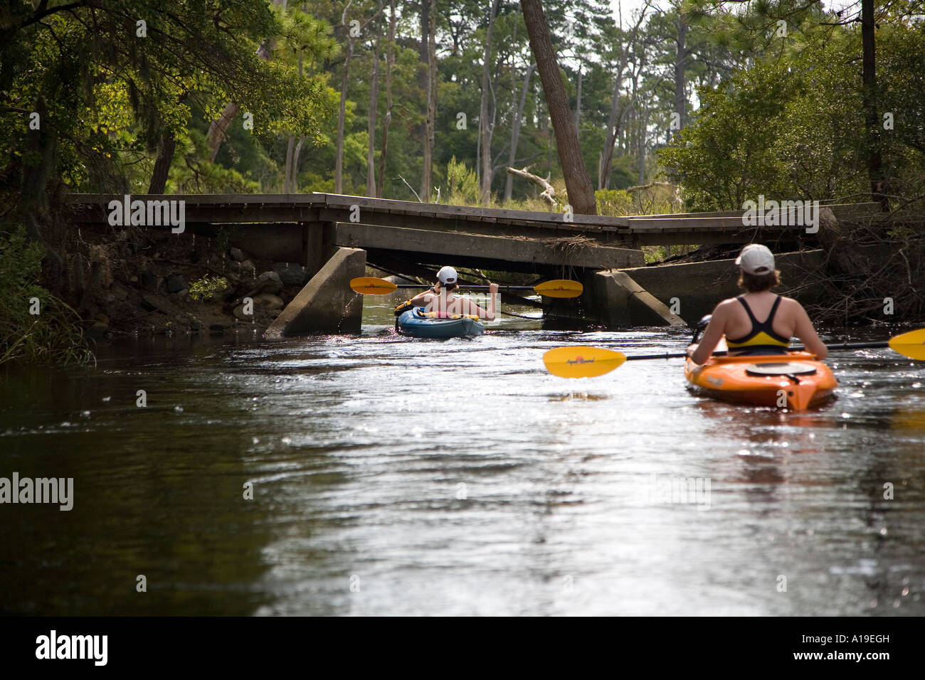 Women kayaking in Seashore First Landing State Park Virginia Beach VA