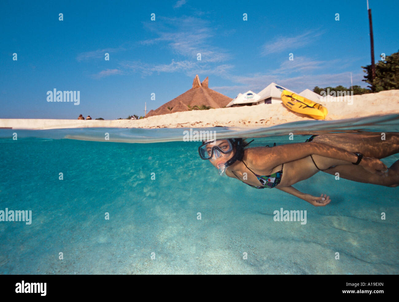 Cozumel Mexico Snorkeling High Resolution Stock Photography and Images ...