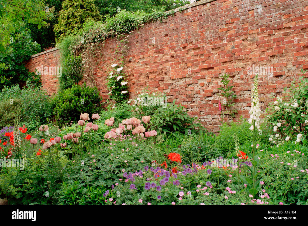 Garden border and old brick wall Stock Photo