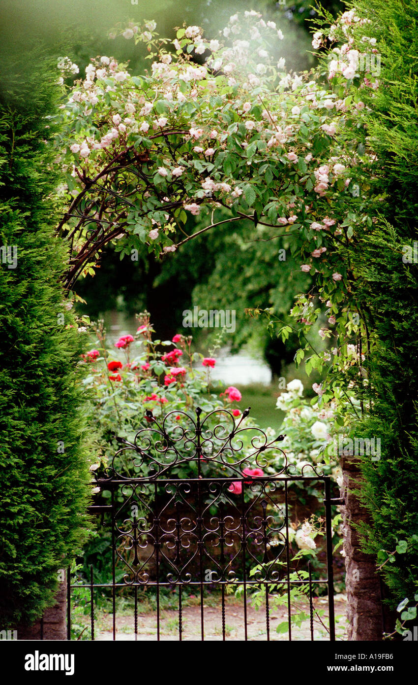 Garden gate with climbing roses and rose bushes beyond Stock Photo