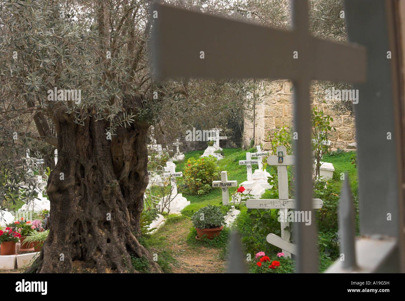 Israel Jerusalem Ein Kerem Russian Orthodox Mission Nones cemetery in the monastery compound view from the entrance gate with ol Stock Photo