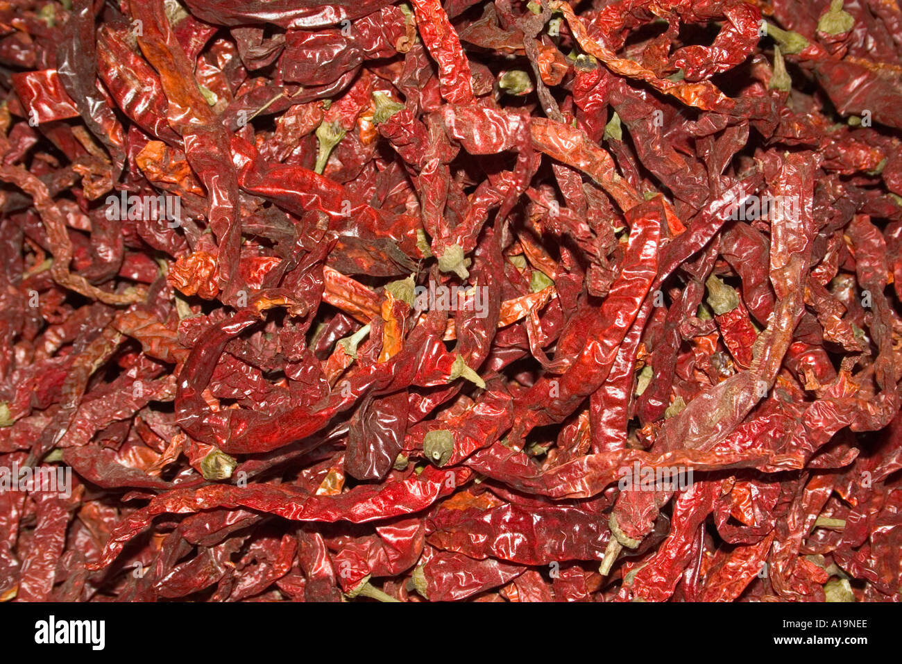 dried red chilli background Stock Photo