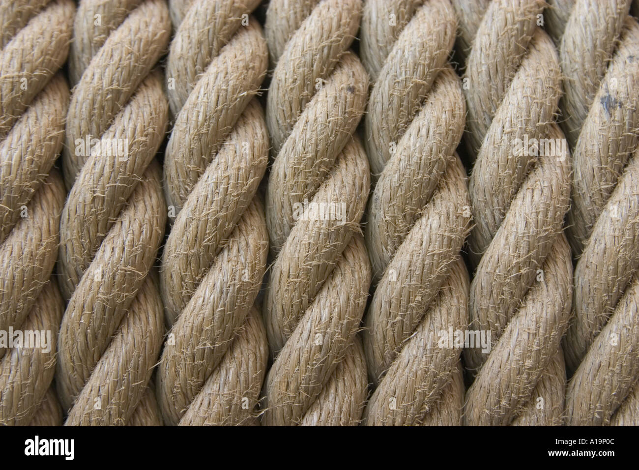 thick and fat rope for background texture concept strength secure Stock  Photo - Alamy