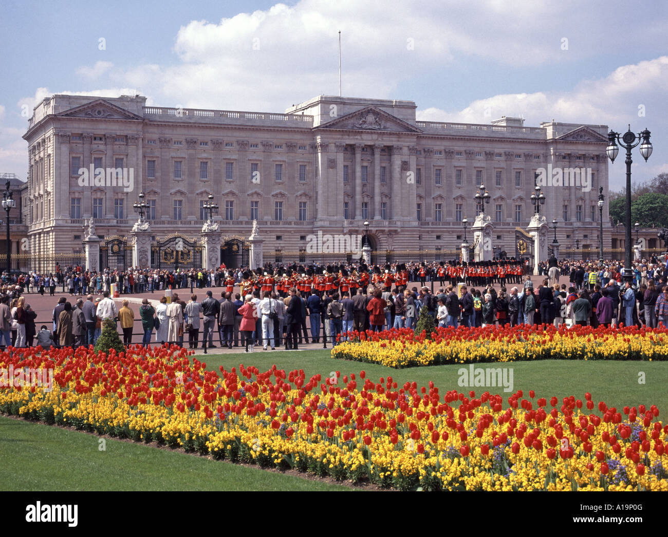 Spring display of Tulips with tourists lining the route and watching  Changing the Guard ceremony at Buckingham Palace London England UK Stock Photo