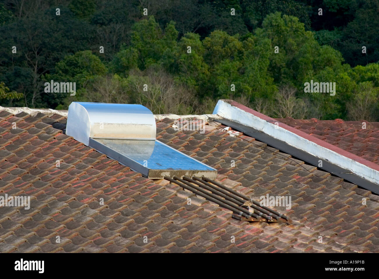 solar water heater on rooftop Stock Photo Alamy