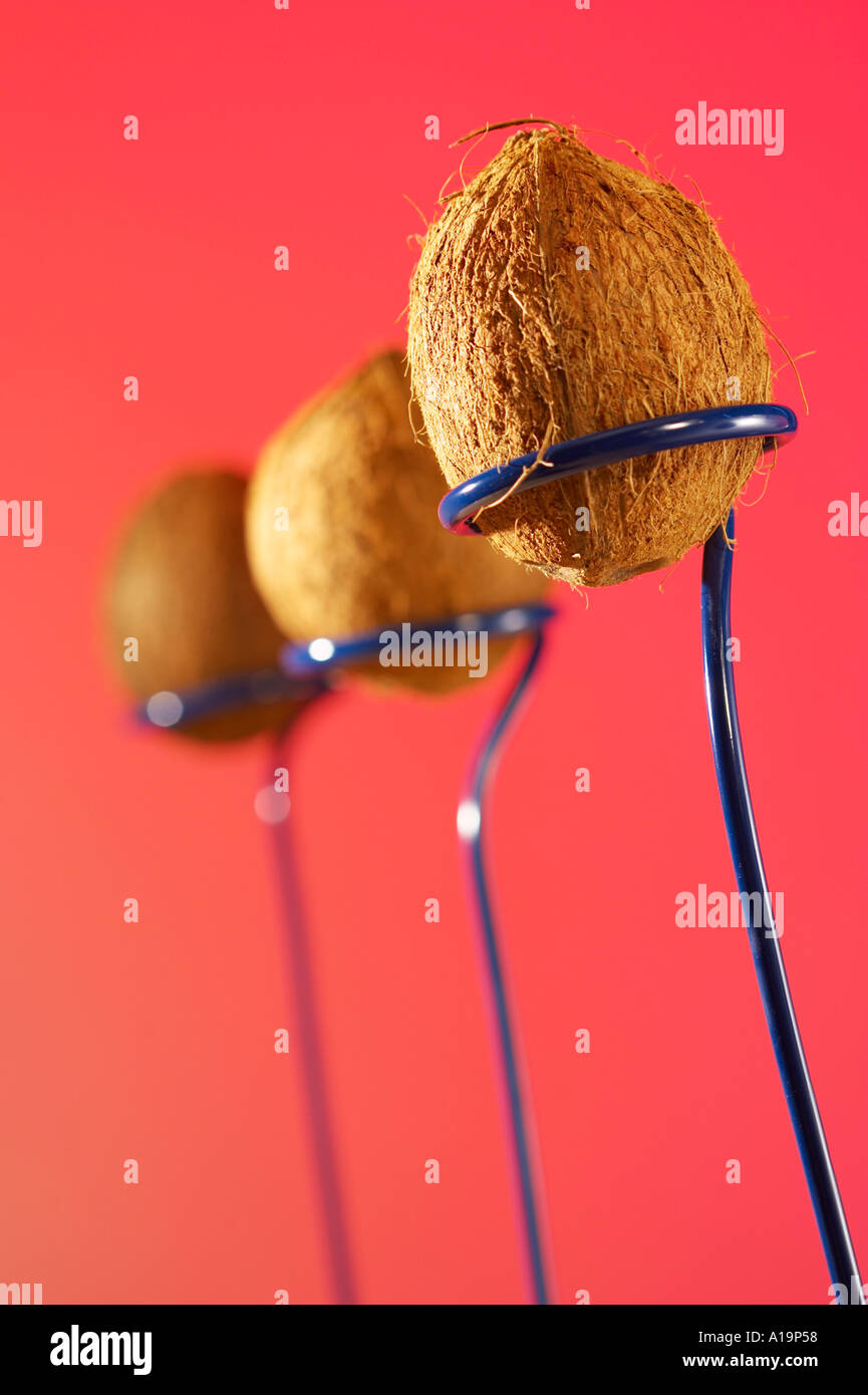 Fairground coconut shy hires stock photography and images Alamy