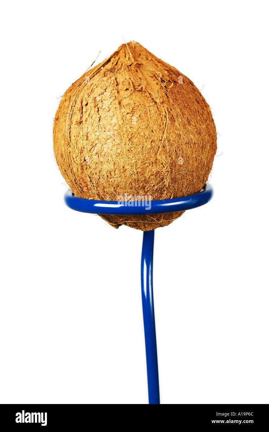 Coconut shy hires stock photography and images Alamy