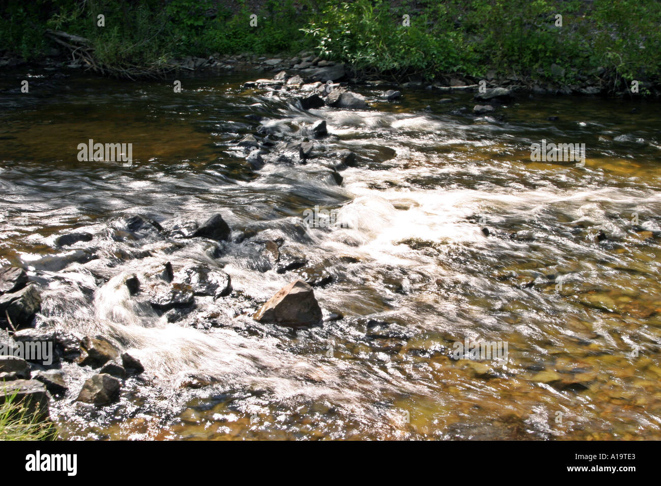 Whitewater in the Ocqueoc river near Ocqueoc Falls, Michigan Stock