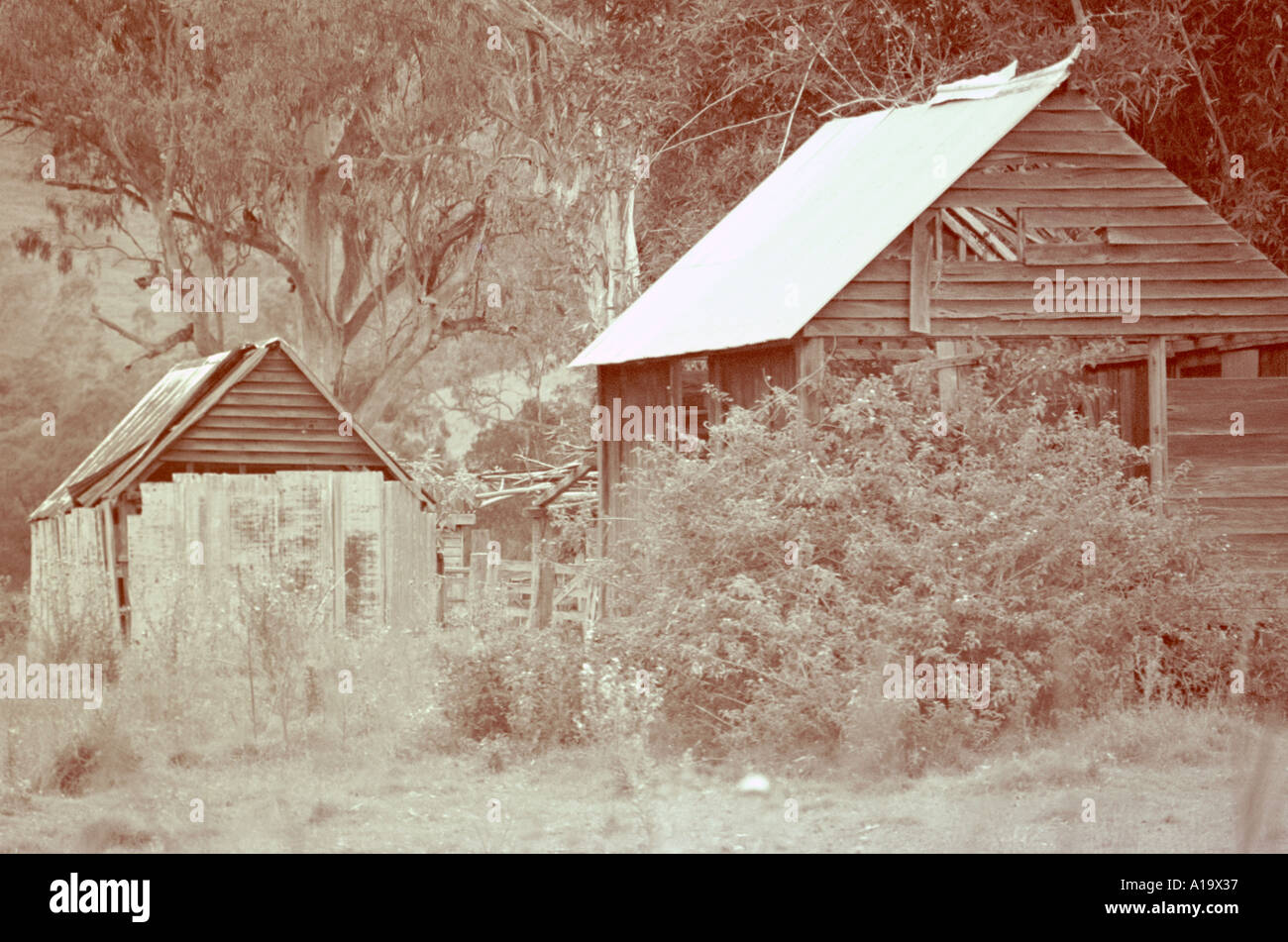Two Old Farm Sheds On A Property In Queensland Australia Stock