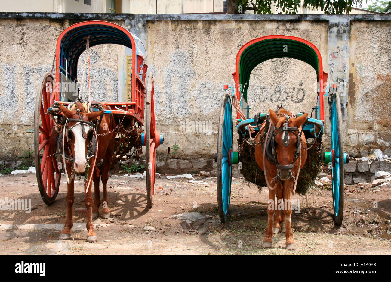 Horse driven carts in Madurai Stock Photo Alamy