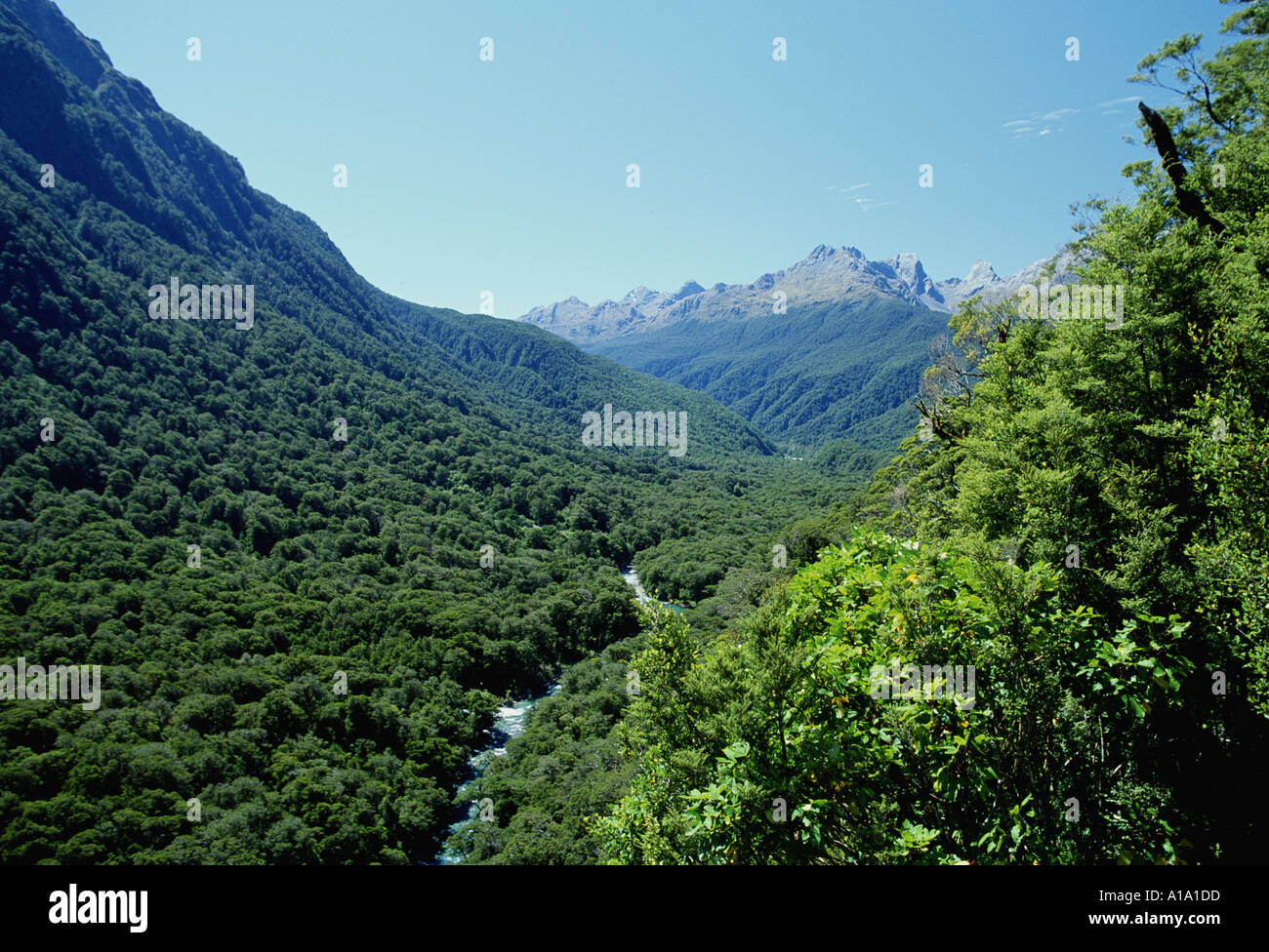 Lush green mountain valley hi-res stock photography and images - Alamy