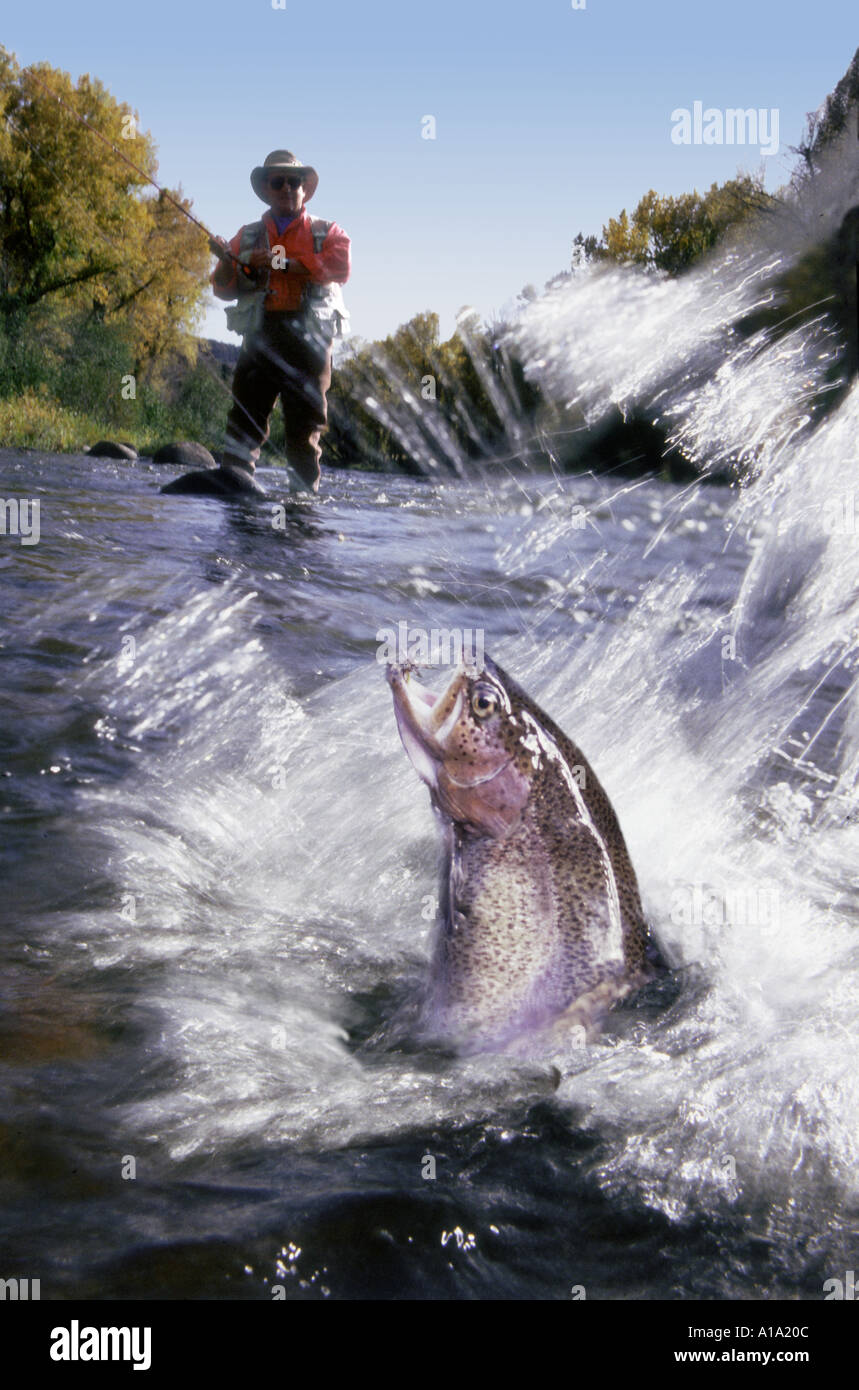 Man fly fishing in a shallow river with a rainbow trout jumping out