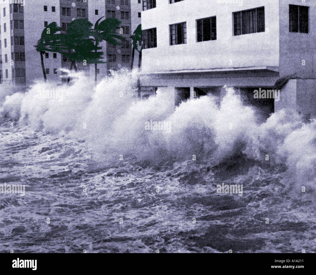 Hurricane winds and storm surge waves blow palm trees and crash into hotels on Miami Beach during Hurricane Betsy in 1965 Stock Photo