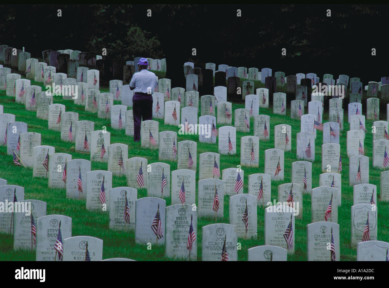 Man standing at veteran grave site in solemn setting among rows of gravestones at Arlington National Cemetery Stock Photo