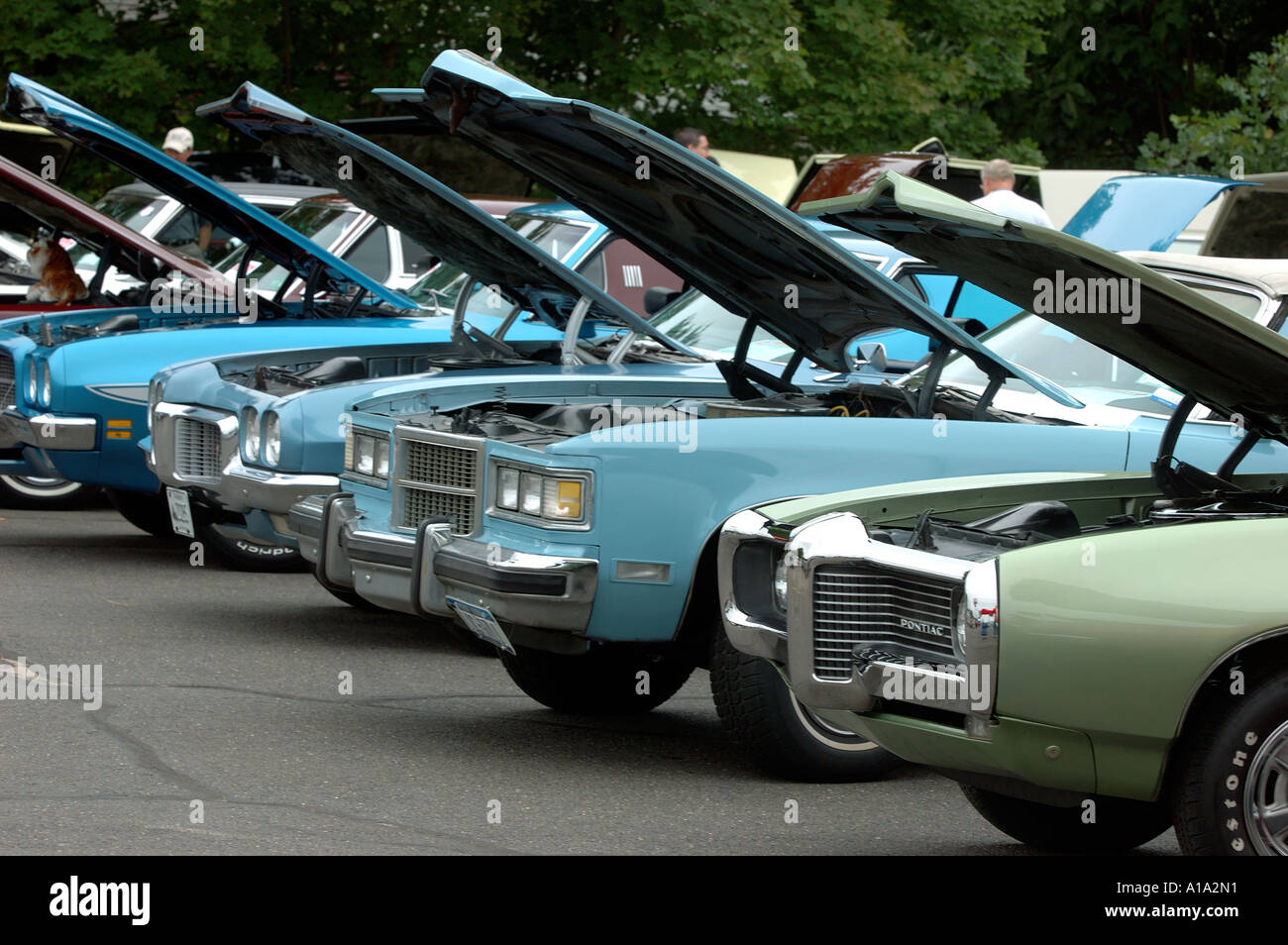 Classic Car Shows Near Me This Weekend Find Local Events and Witness Vintage Automotive Beauty within 50 miles