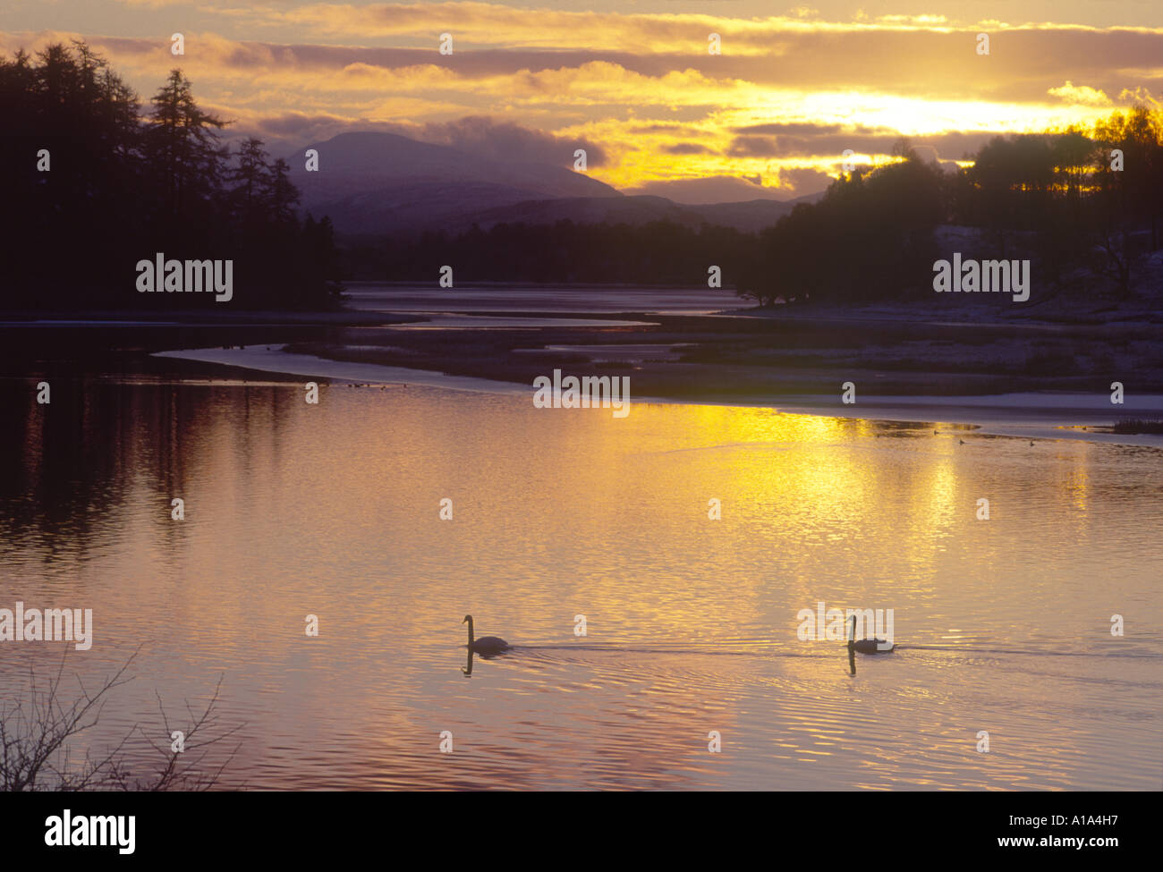 Evening sunset on Loch Insh Kincraig forms part of the River Spey system.   GPL 2833-202 Stock Photo