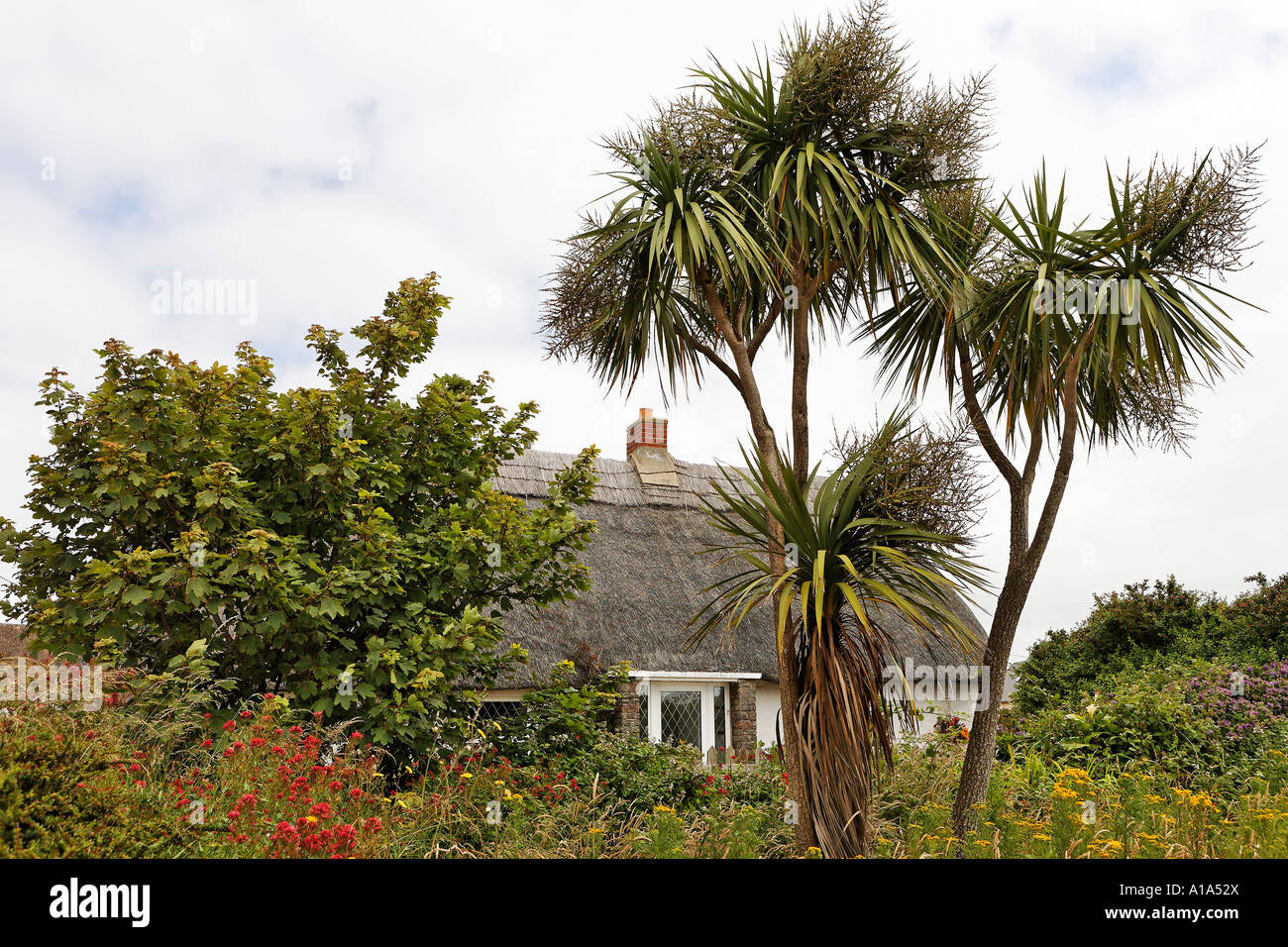 House with thatched roof, Kilmore Quay, Wexford, Ireland Stock Photo