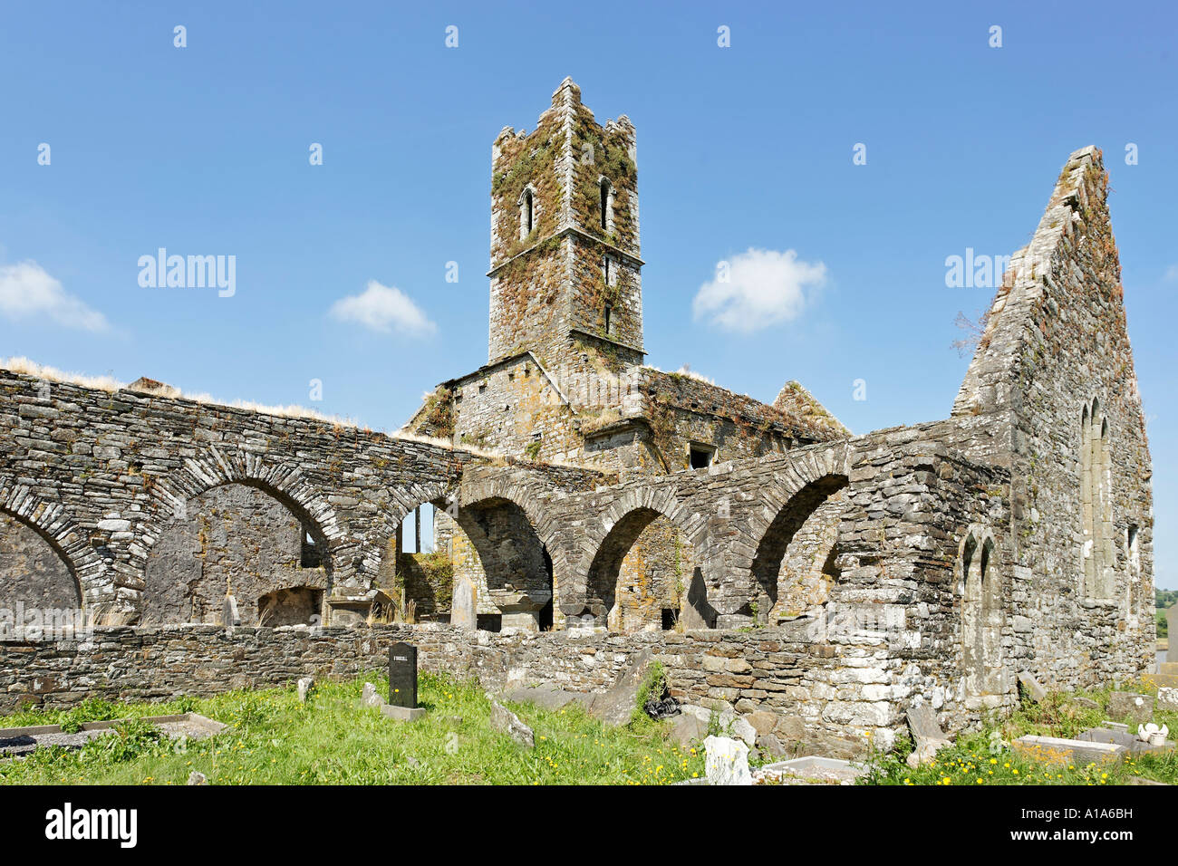 Timoleague Abbey was founded 1240 by franciscan monks, Timoleague Abbey , Cork, Ireland Stock Photo