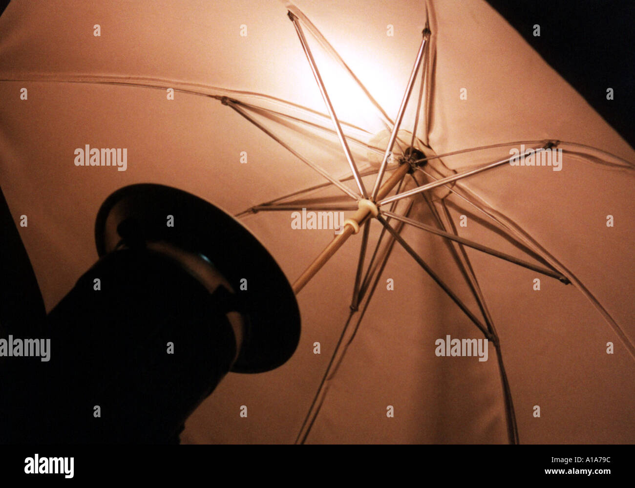 Studio Umbrella Flash Stock Photo Alamy
