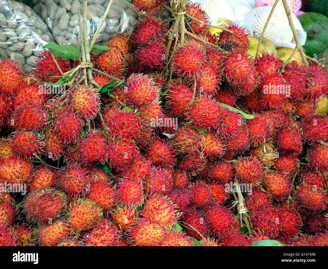 Where Can I Buy Rambutan Fruit Near Me